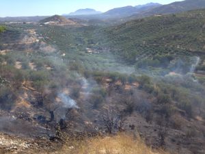 Zona afectada por el incendio en el barrio de la alcantarilla de Jaén. Zona afectada por el incendio en el barrio de la alcantarilla de Jaén.