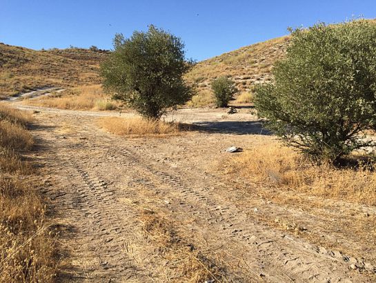 Los restos ya se han retirado del paraje en cuestión Los restos ya se han retirado del paraje en cuestión
