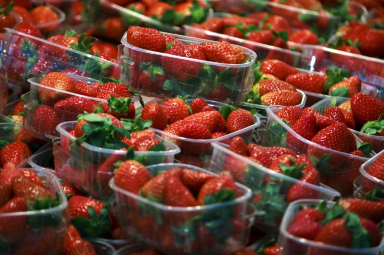 El sector agroalimentario pide aumentar a 5.000 los contratos en origen El sector agroalimentario pide aumentar a 5.000 los contratos en origen