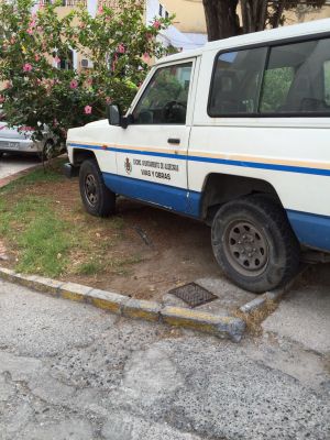 Vehículo municipal aparacdo sobre jardín. Vehículo municipal aparacdo sobre jardín.