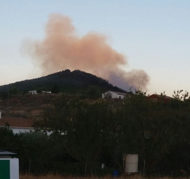 Incendio Archidona Málaga: El incendio en Archidona ha quemado cien hectáreas de masa forestal