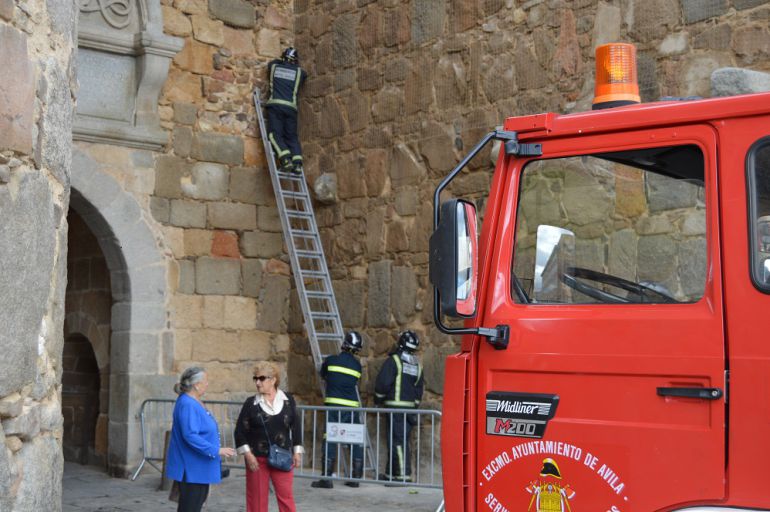 Varios bomberos reparan la red de la puerta del Álcázar Varios bomberos reparan la red de la puerta del Álcázar