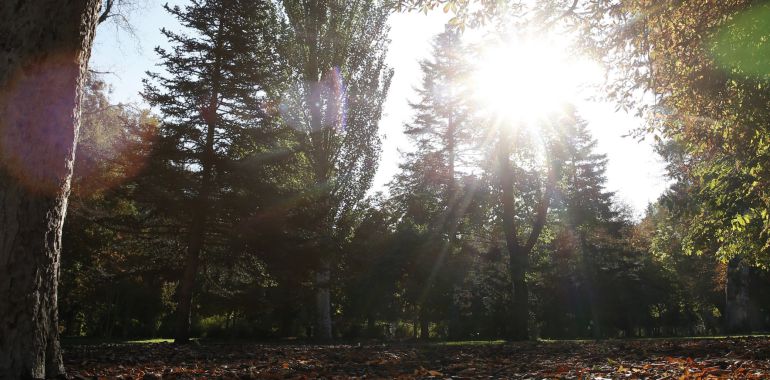 Castilla-La Mancha tendrá un otoño cálido y seco, según la previsión de la AEMET Castilla-La Mancha tendrá un otoño cálido y seco, según la previsión de la AEMET