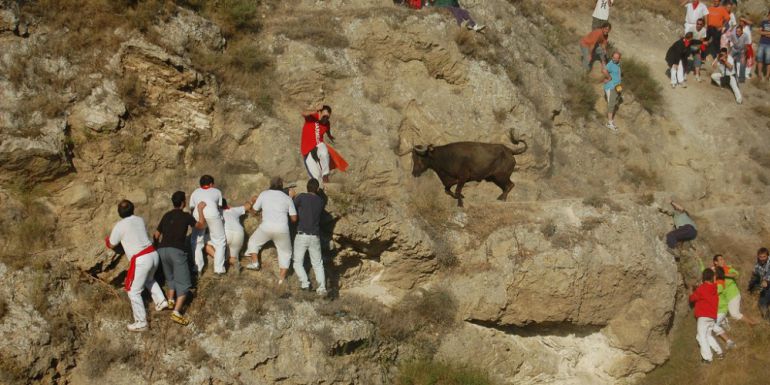 Encierro del Pilón de Falces con parte del público en el monte para presenciar el espectáculo Encierro del Pilón de Falces con parte del público en el monte para presenciar el espectáculo