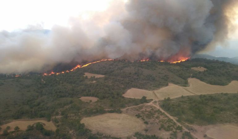 Controlado en menos de dos horas un incendio forestal en Elche de la Sierra Controlado en menos de dos horas un incendio forestal en Elche de la Sierra