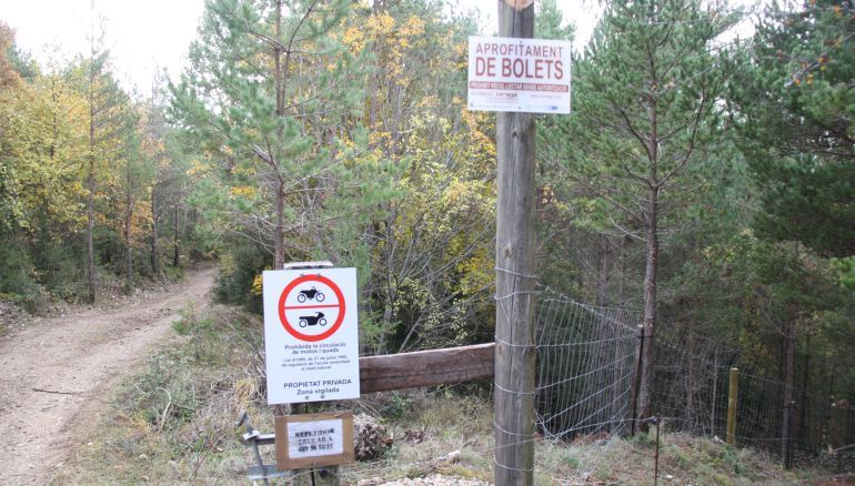 Delimitació d'una finca privada boscosa al Solsonés on hi ha un cartell on s'hi pot llegir 'Aprofitament de bolets, Prohibit recol·lectar sense autorització" Delimitació d'una finca privada boscosa al Solsonés on hi ha un cartell on s'hi pot llegir 'Aprofitament de bolets, Prohibit recol·lectar sense autorització"