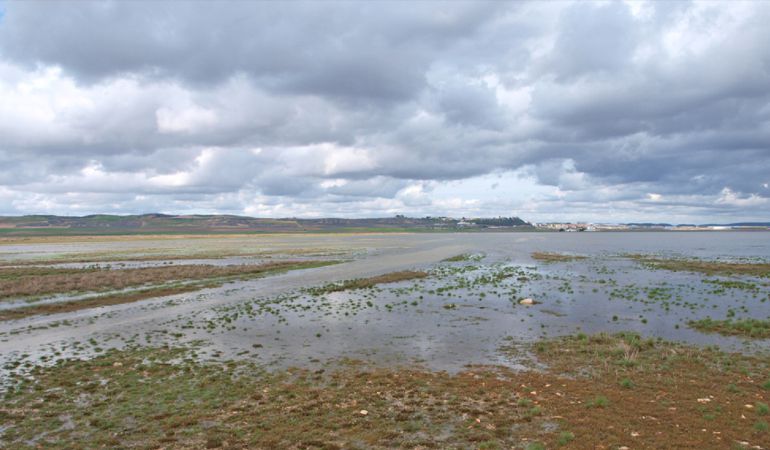 Laguna de El Hito Laguna de El Hito