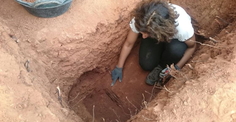 Imatge de l'excavació al cementiri de Tremp. Imatge de l'excavació al cementiri de Tremp.