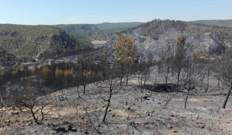 Cuenca Enguídanos Paracuellos Incendios Forestales: Controlado el incendio forestal de Enguídanos y Paracuellos Cuenca Enguídanos Paracuellos Incendios Forestales: Controlado el incendio forestal de Enguídanos y Paracuellos