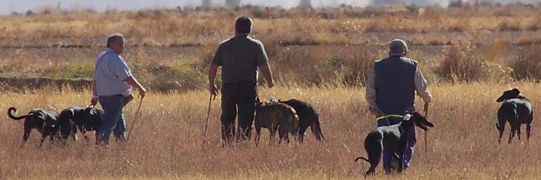 Unos cazadores acompañados de sus perros durante una cacería (Archivo) Unos cazadores acompañados de sus perros durante una cacería (Archivo)