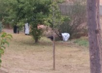Aparece un cadáver junto a un riachuelo de Plasencia