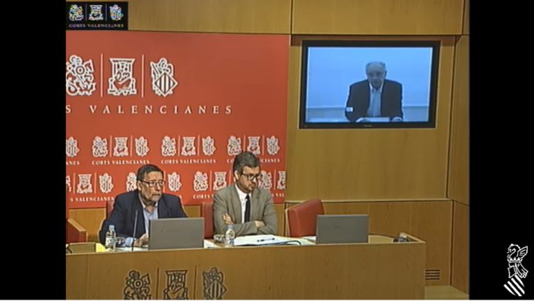 Comparecencia por videoconferencia de Rafael Blasco Comparecencia por videoconferencia de Rafael Blasco