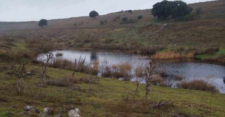 Los Ojos y el cauce del Guadiana, serán públicos hasta las Tablas Los Ojos y el cauce del Guadiana, serán públicos hasta las Tablas