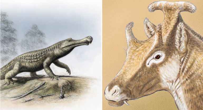 Recreación de un Lohuecosuchus y del Xenokeryx amidalae. Recreación de un Lohuecosuchus y del Xenokeryx amidalae.