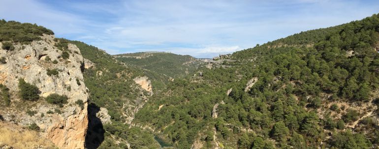 La tercera parte de los árboles de Cuenca son pinos. La tercera parte de los árboles de Cuenca son pinos.