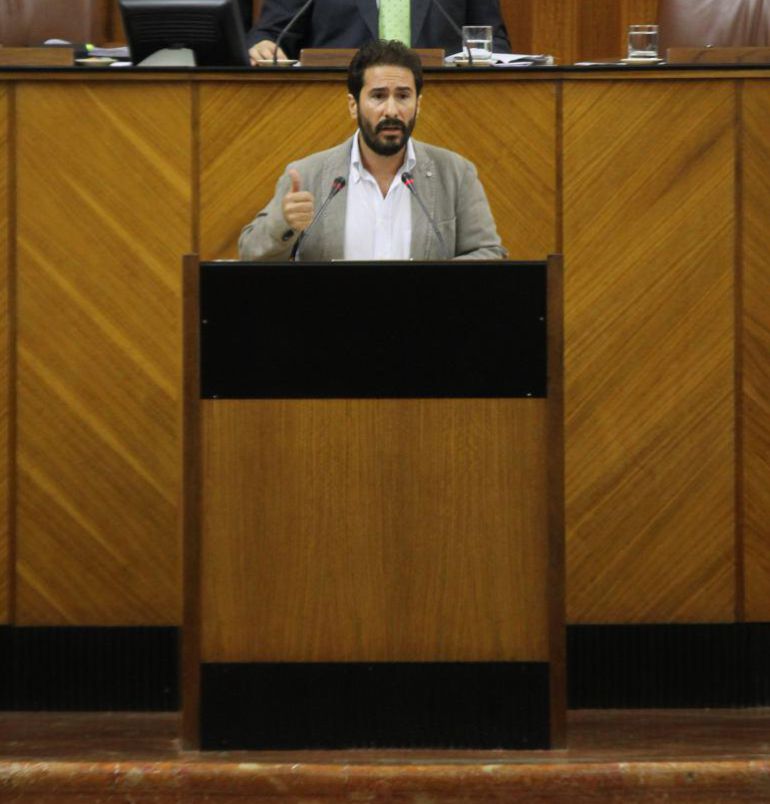 David Moscoso durante una intervención en el Parlamento Andaluz David Moscoso durante una intervención en el Parlamento Andaluz