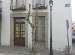 Casa en la que nació Adolfo Suárez Casa en la que nació Adolfo Suárez
