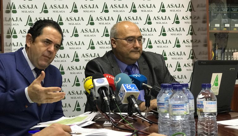 Los responsables de Asaja Málaga durante la comparecencia de esta martes Los responsables de Asaja Málaga durante la comparecencia de esta martes