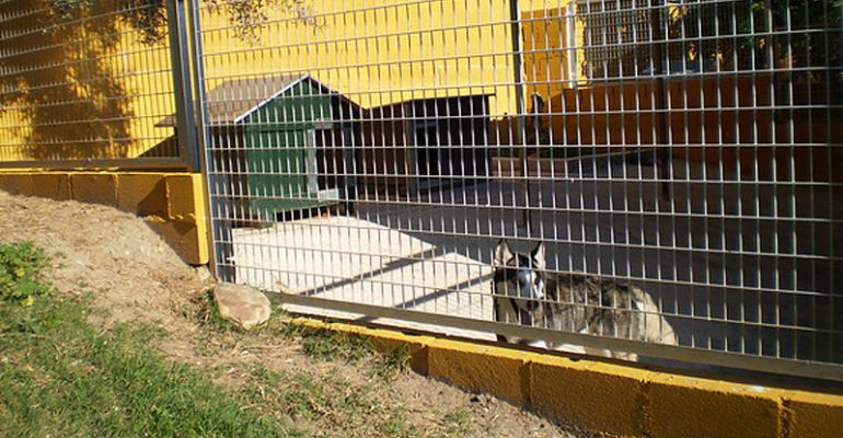 Instalaciones de Maikan Canino en Talamanca del Jarama Instalaciones de Maikan Canino en Talamanca del Jarama