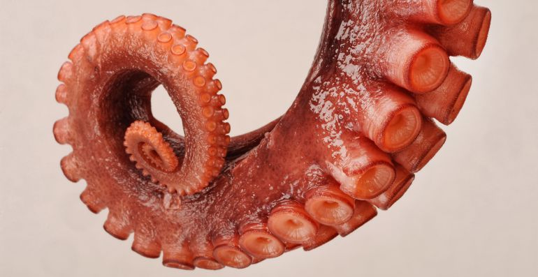 Recetas cocina: Pulpo al estilo portugués Recetas cocina: Pulpo al estilo portugués