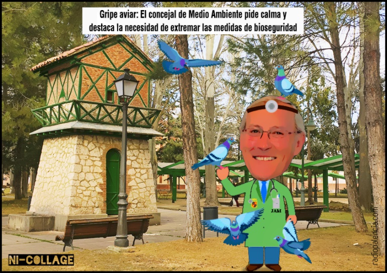 Gripe aviaria Gripe aviaria