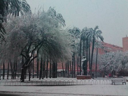 Plaza Jaume I, en Dénia. Plaza Jaume I, en Dénia.