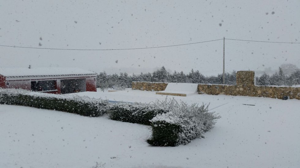 La nieva también ha cuajado en Almansa La nieva también ha cuajado en Almansa