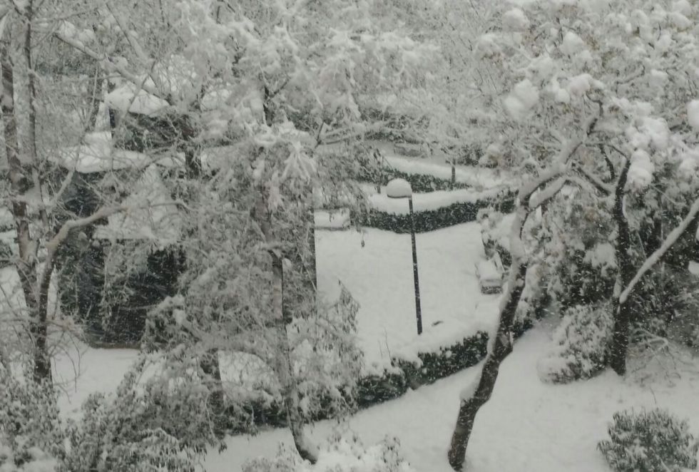 La situación en el municipio albaceteño se complica y ya van por 30 centímetros de nieve acumulada y, a ratos, tormenta de nieve (17:30h) La situación en el municipio albaceteño se complica y ya van por 30 centímetros de nieve acumulada y, a ratos, tormenta de nieve (17:30h)