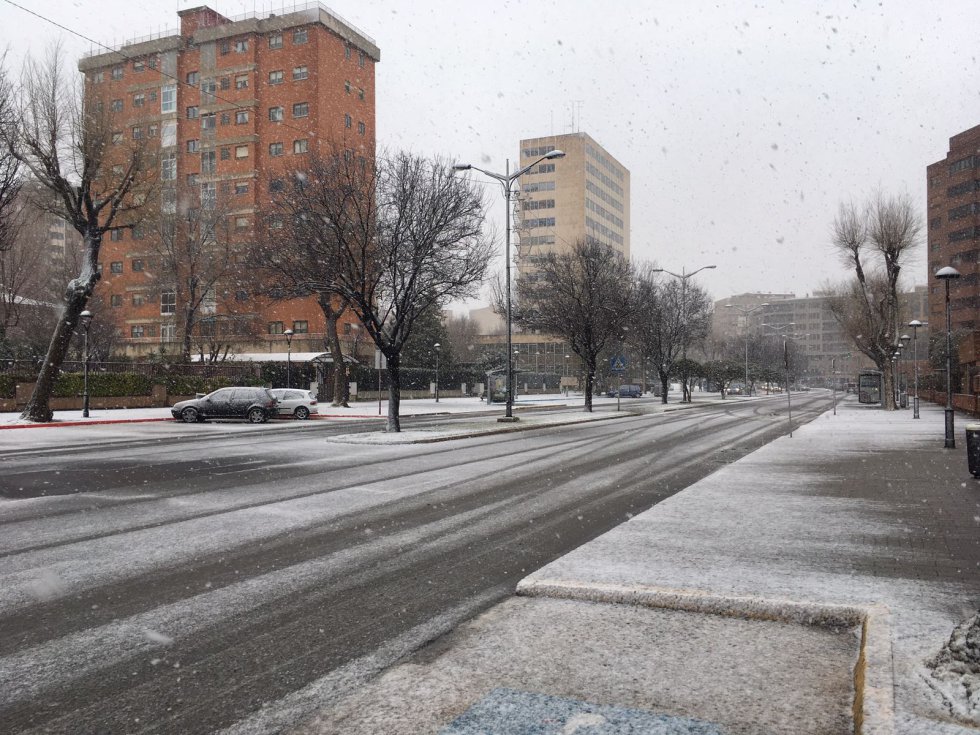 Nieve recién cuajada en una de las avenidas de Albacete Nieve recién cuajada en una de las avenidas de Albacete
