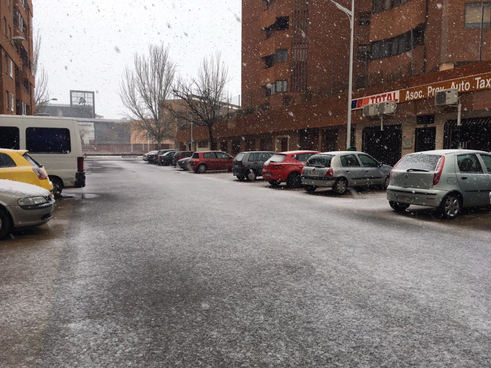 Nieve recién cuajada en una de las avenidas de Albacete Nieve recién cuajada en una de las avenidas de Albacete
