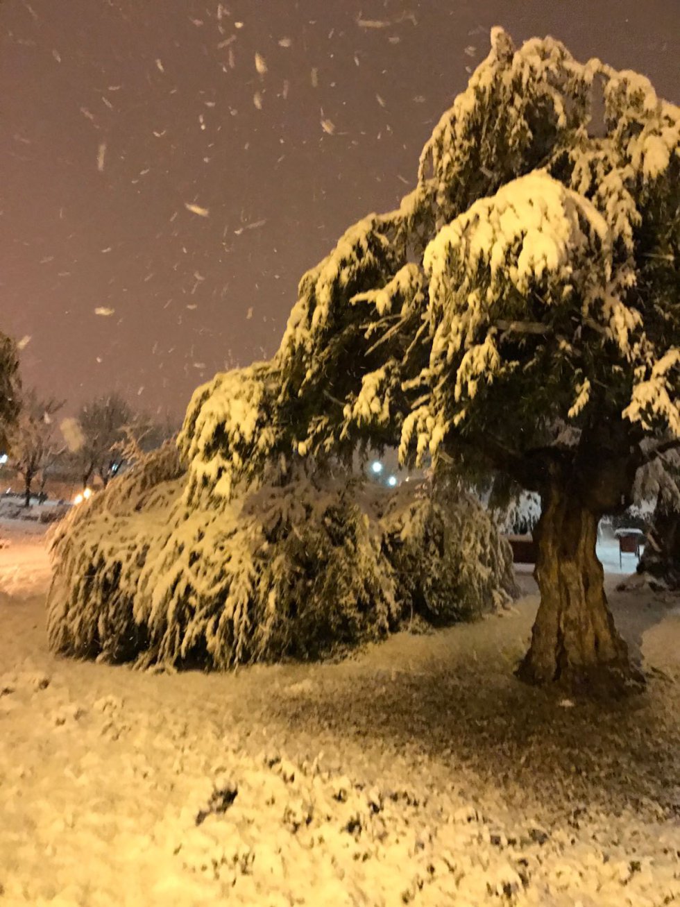 Más estampas invernales de la capital albaceteña Más estampas invernales de la capital albaceteña