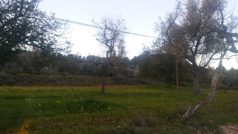 Imagen de la zona de Es Amunts Imagen de la zona de Es Amunts