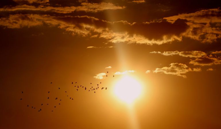 La Xunta elaborará este año una estrategia para combatir el cambio climático La Xunta elaborará este año una estrategia para combatir el cambio climático