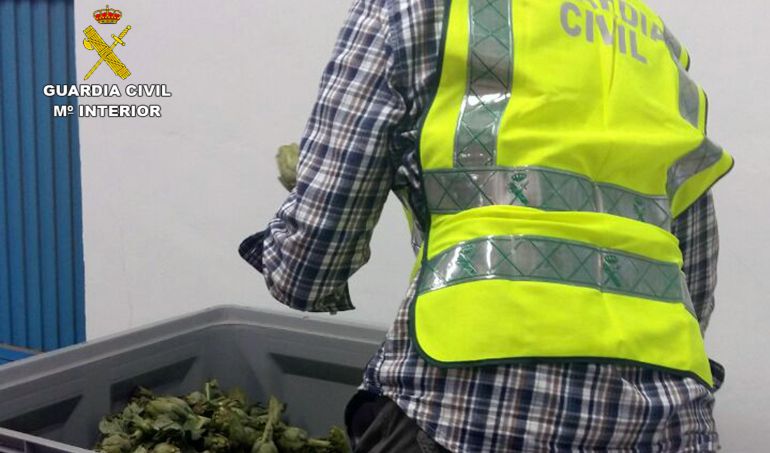 Dos detenidos por la sustracción de 350Kg de alcachofa en Santomera Dos detenidos por la sustracción de 350Kg de alcachofa en Santomera