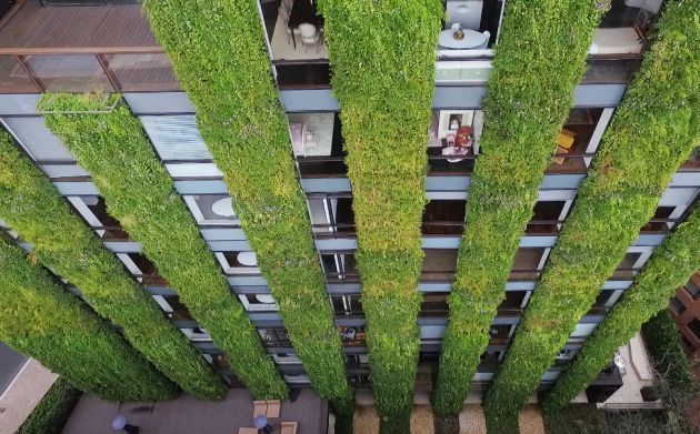 Alicante: El jardín vertical más grande del mundo tiene firma alicantina Alicante: El jardín vertical más grande del mundo tiene firma alicantina