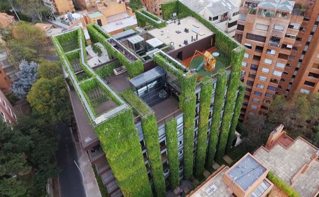 Alicante: El jardín vertical más grande del mundo tiene firma alicantina Alicante: El jardín vertical más grande del mundo tiene firma alicantina
