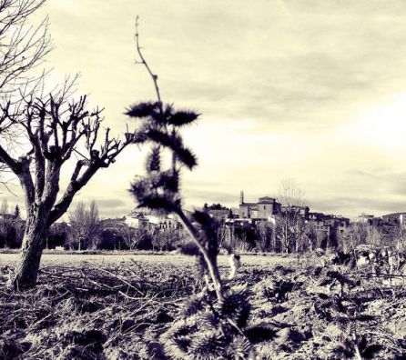Algunas familias abandonan la ciudad para vivir en los pueblos. Algunas familias abandonan la ciudad para vivir en los pueblos.