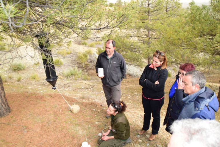 Instalación de las trampas de feromonas con las que se intenta controlar la plaga de insectos parasitarios que están matando a miles de pinos en la Sierra de Baza Instalación de las trampas de feromonas con las que se intenta controlar la plaga de insectos parasitarios que están matando a miles de pinos en la Sierra de Baza
