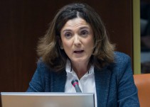 El Gobierno vasco anuncia medidas inminentes para "contrarrestar" el fraude y los pagos indebidos de la RGI