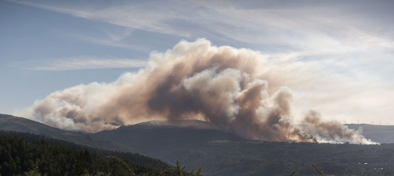 El incendio alcanzaba recientemente las 20 hectáreas El incendio alcanzaba recientemente las 20 hectáreas