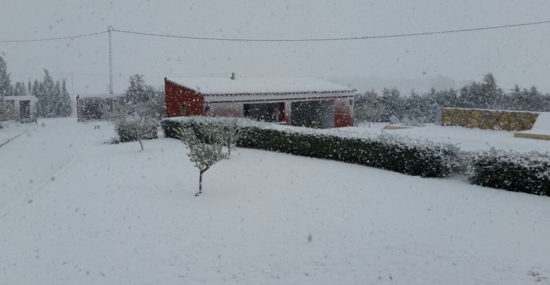 El temporal de nieve afectó sobre todo a la zona de Almansa El temporal de nieve afectó sobre todo a la zona de Almansa