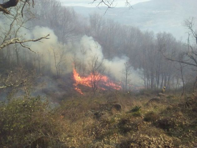 Imagen del incendio forestal en Rebollar, Valle del Jerte. Imagen del incendio forestal en Rebollar, Valle del Jerte.