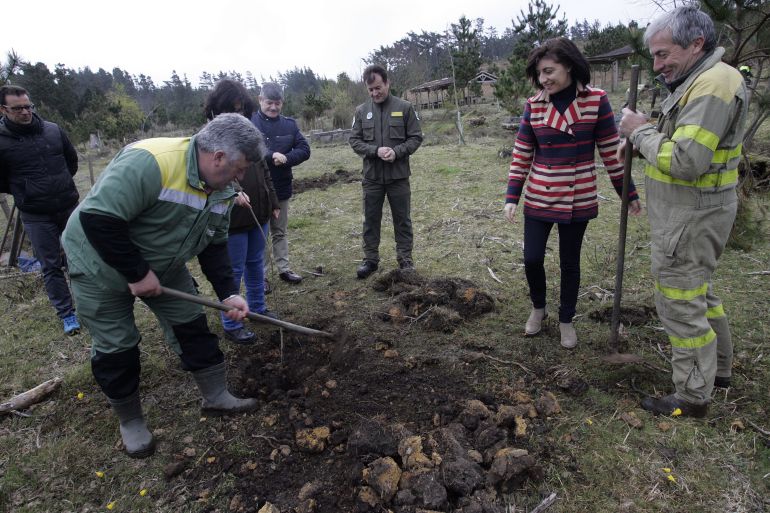 La conselleira de Medio Rural en el monte de A Braxe La conselleira de Medio Rural en el monte de A Braxe