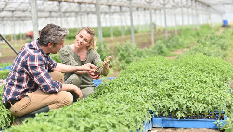 Tercera edición del proyecto Orizont en Tudela Tercera edición del proyecto Orizont en Tudela