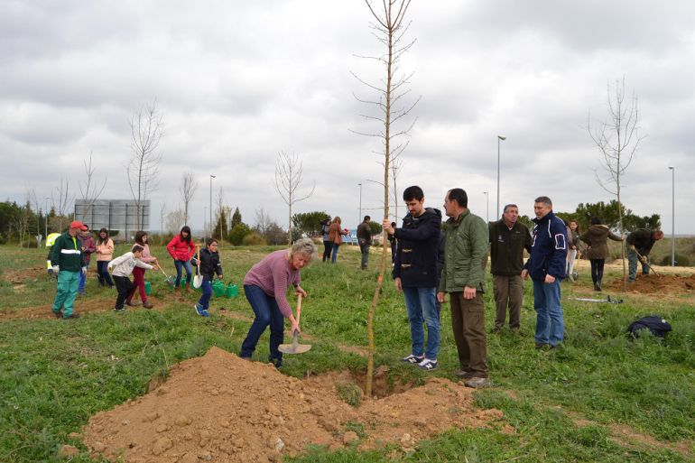 Plantación realizada con motivo del Día del Árbol Plantación realizada con motivo del Día del Árbol
