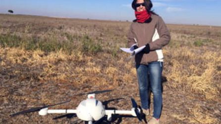 Una de las investigadores de la UCLM usando un dron en agricultura Una de las investigadores de la UCLM usando un dron en agricultura