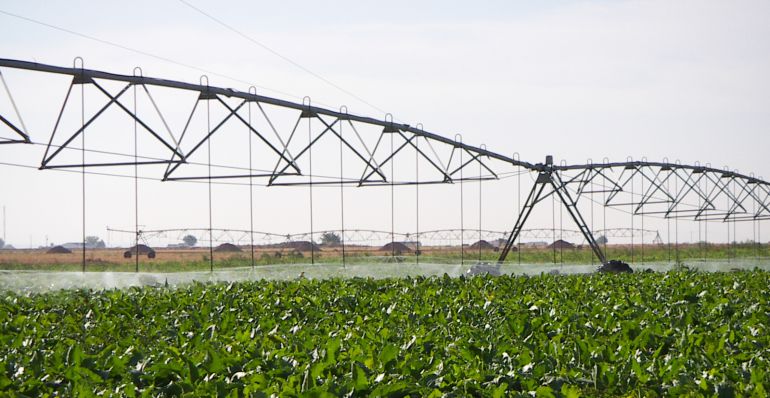 La universidad investiga cómo mejorar el uso del agua en la agricultura La universidad investiga cómo mejorar el uso del agua en la agricultura