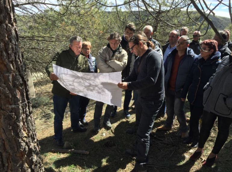 El consejero de Medio Ambiente de la Junta de Andalucía, José Fiscal, supervisa el plan de actuación contra las plagas que afectan a miles de hectáreas de la Sierra de Baza El consejero de Medio Ambiente de la Junta de Andalucía, José Fiscal, supervisa el plan de actuación contra las plagas que afectan a miles de hectáreas de la Sierra de Baza