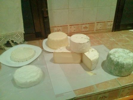 Quesos elaborados con leche de cabra. Quesos elaborados con leche de cabra.