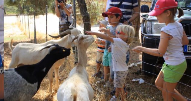 Niños durante una visita a la granja. Niños durante una visita a la granja.